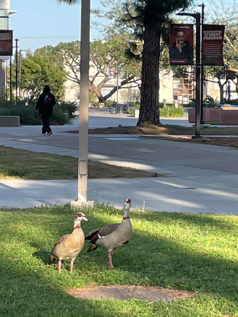 eccunionErica tweet media