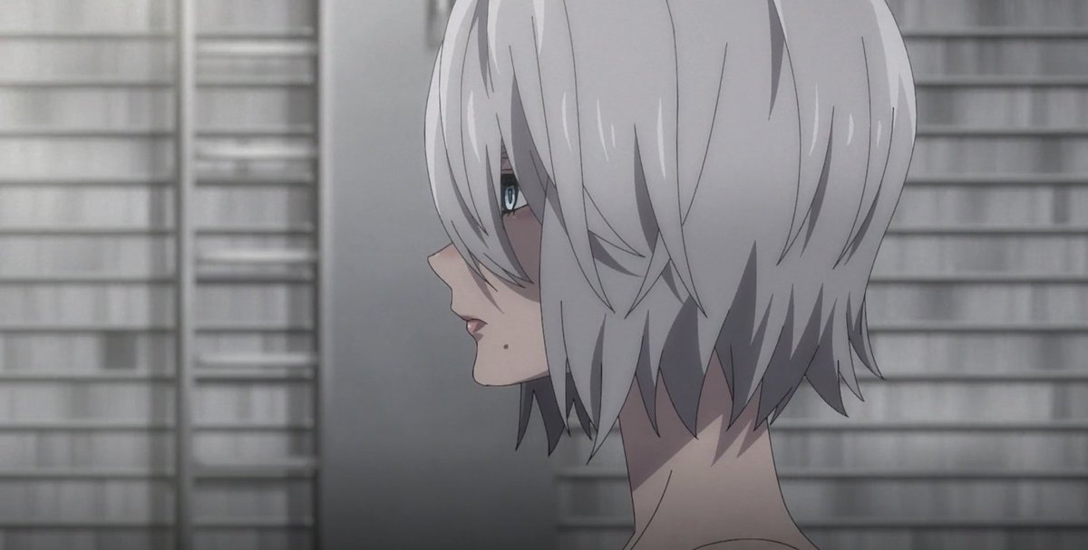 Daily a2 tweet media