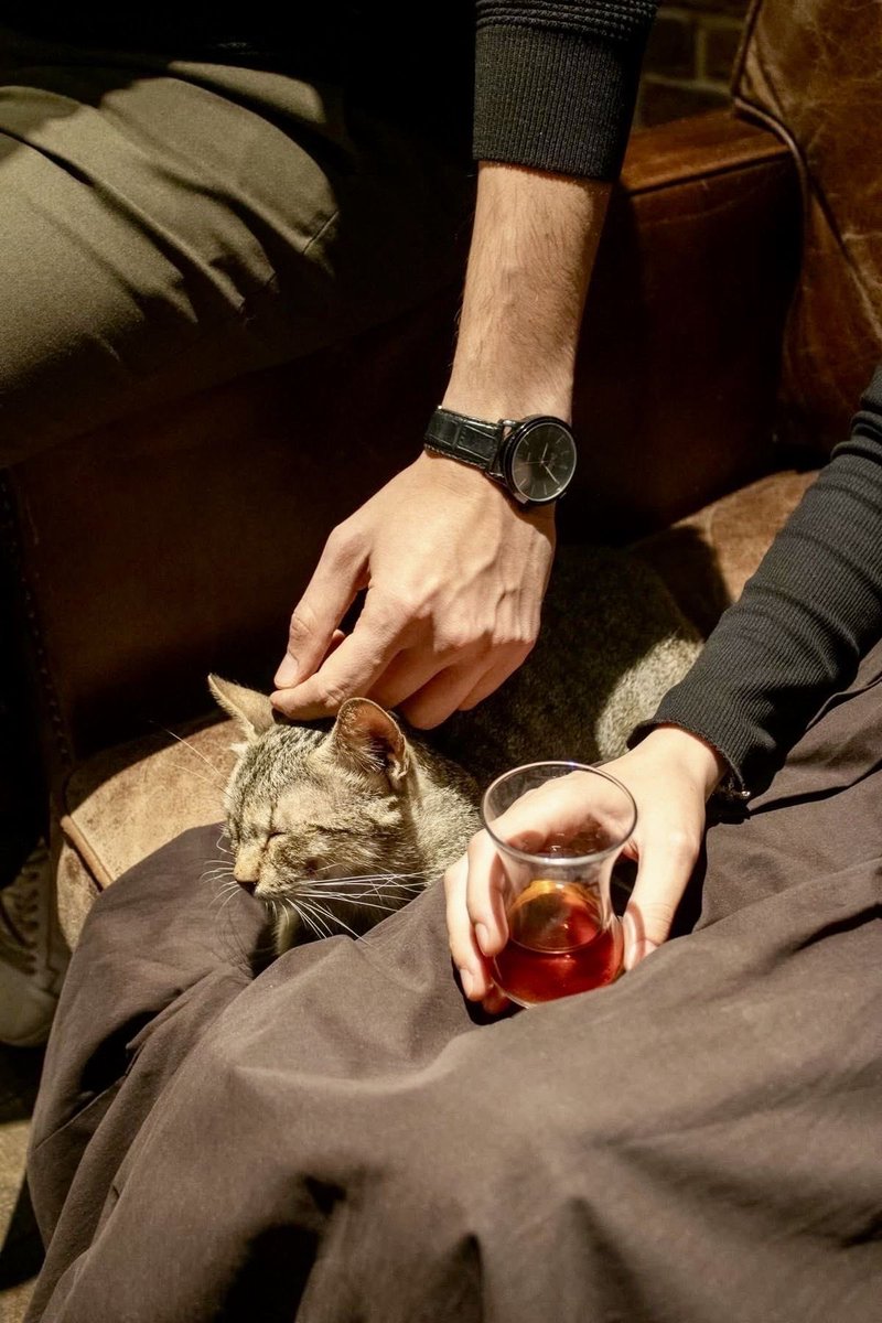 بحر 🌊 tweet media