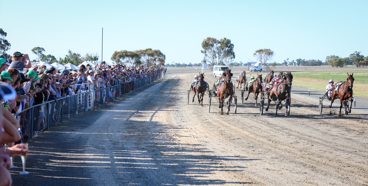 Tim O'Connor tweet media