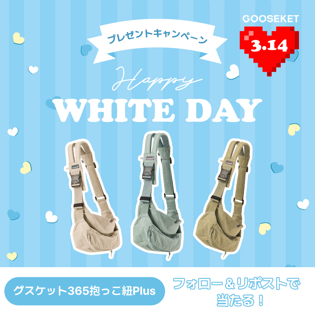 グスケット【公式】 tweet media