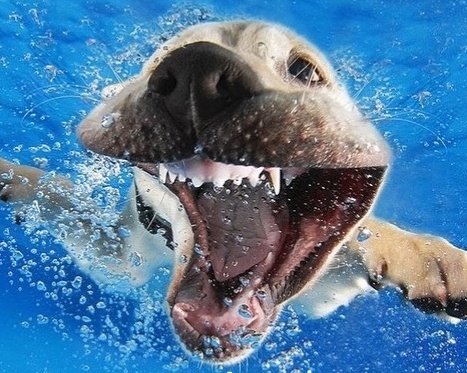 Slug Man tweet media