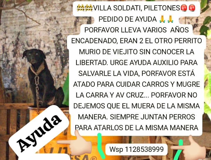 RAQUEL TERESITA MAITA tweet media