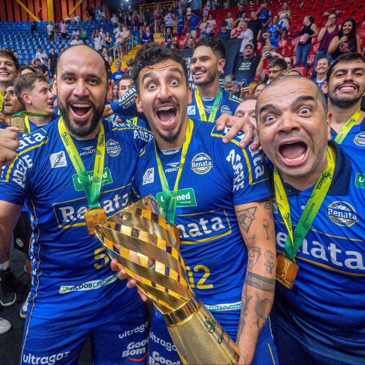 Voley Plus tweet media