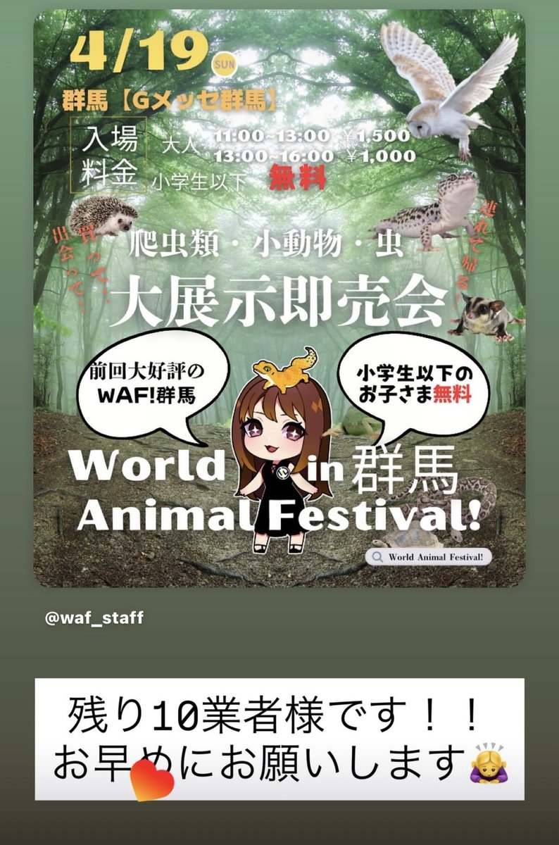 World Animal Festival! tweet media
