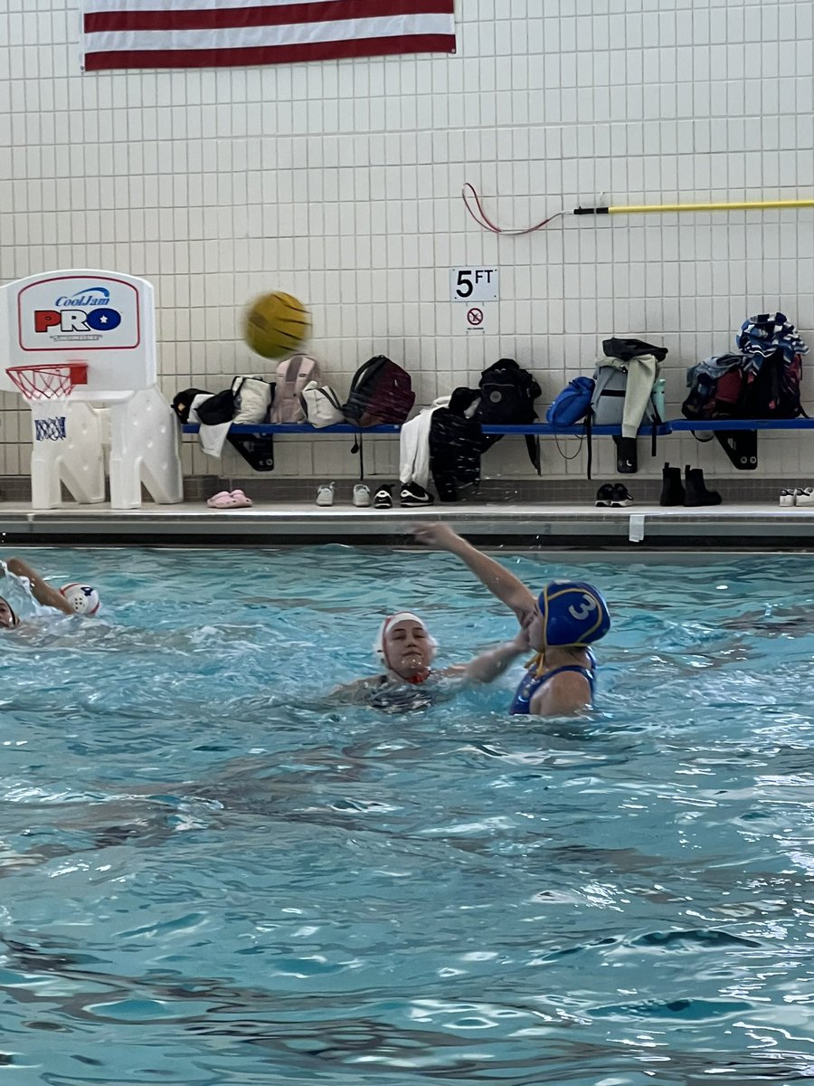 Wheeling Wildcats Athletics and Activities tweet media