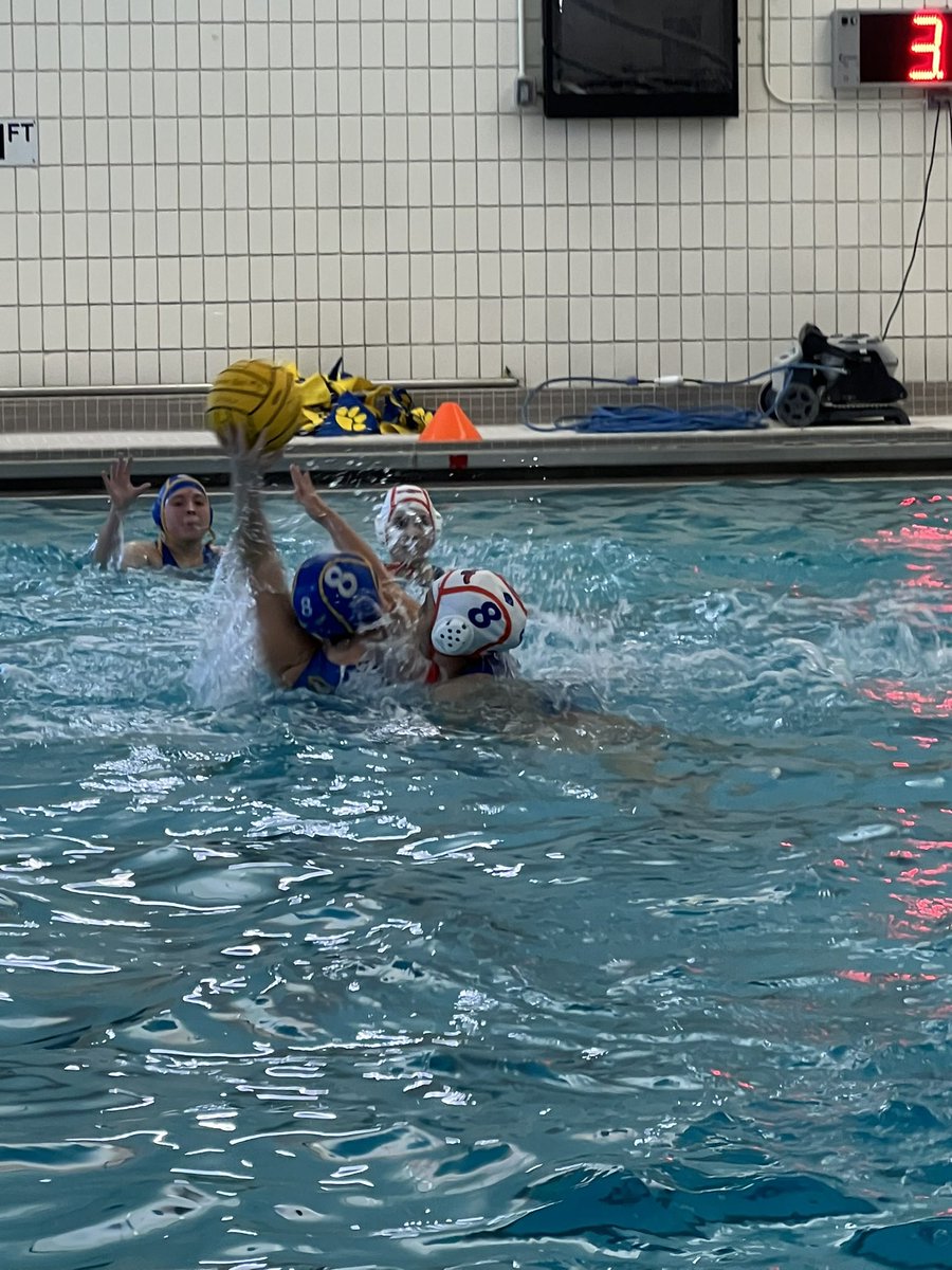 Wheeling Wildcats Athletics and Activities tweet media