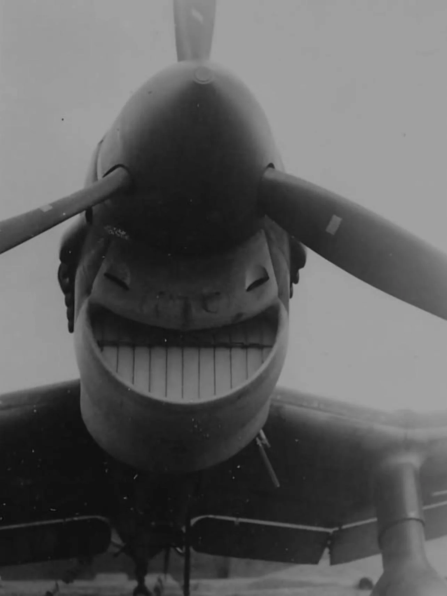 Complicated Bread tweet media