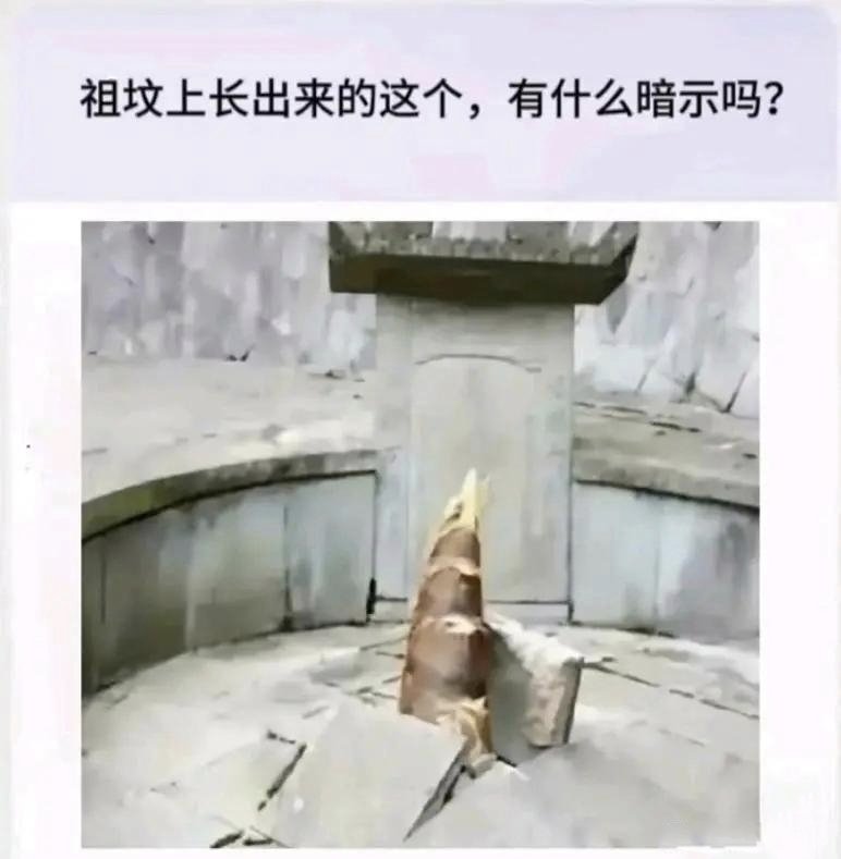 繁律 tweet media