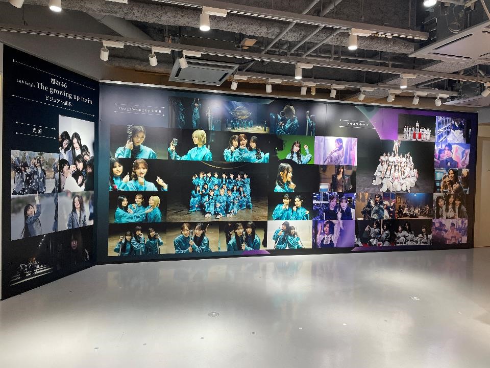 櫻坂46】 14枚目シングル『The growing up train』が本日入荷