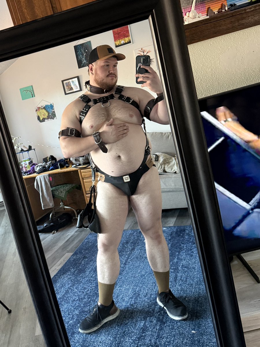 groggy_grizzly's tweet photo. I’m not hating this look https://t.co/JUXsy2EANg