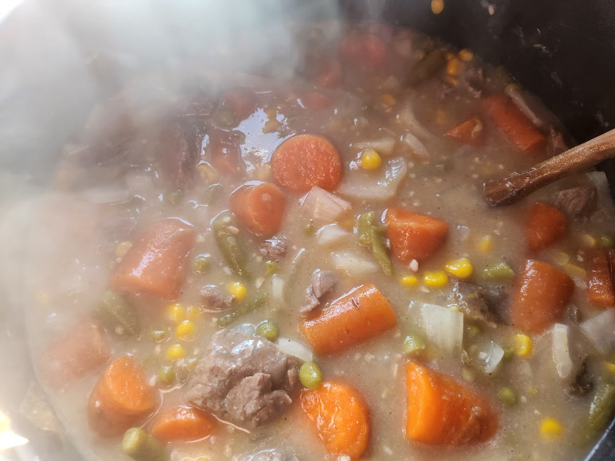 AC_Blazer's tweet image. And how it's going, mmmm hearty stew
#singlelife