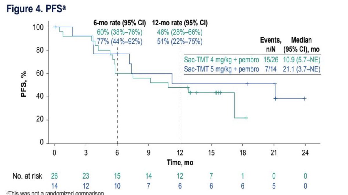 Tom Powles tweet media