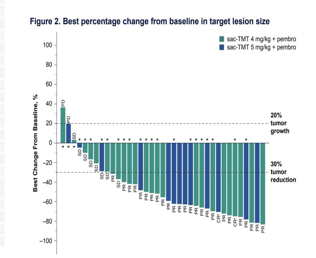 Tom Powles tweet media