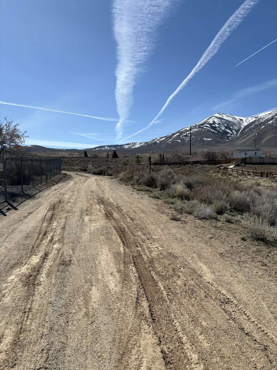 jared brune tweet media