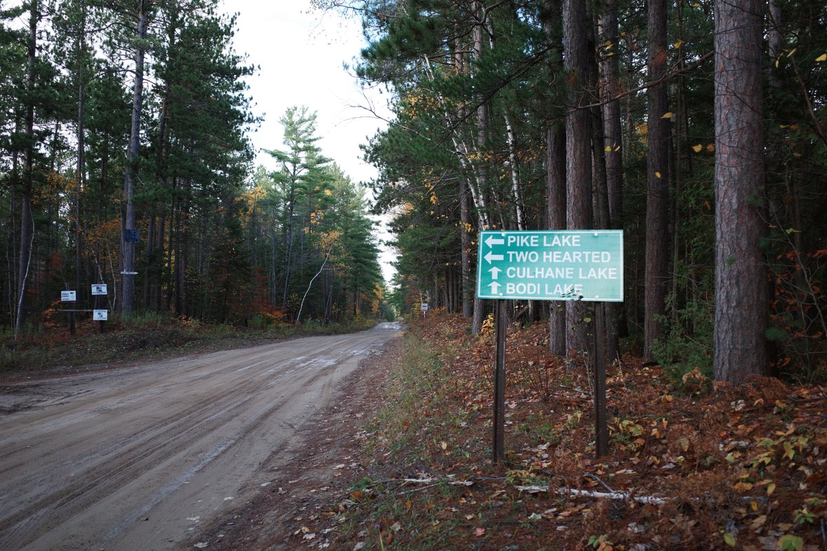 O.W. Root tweet media