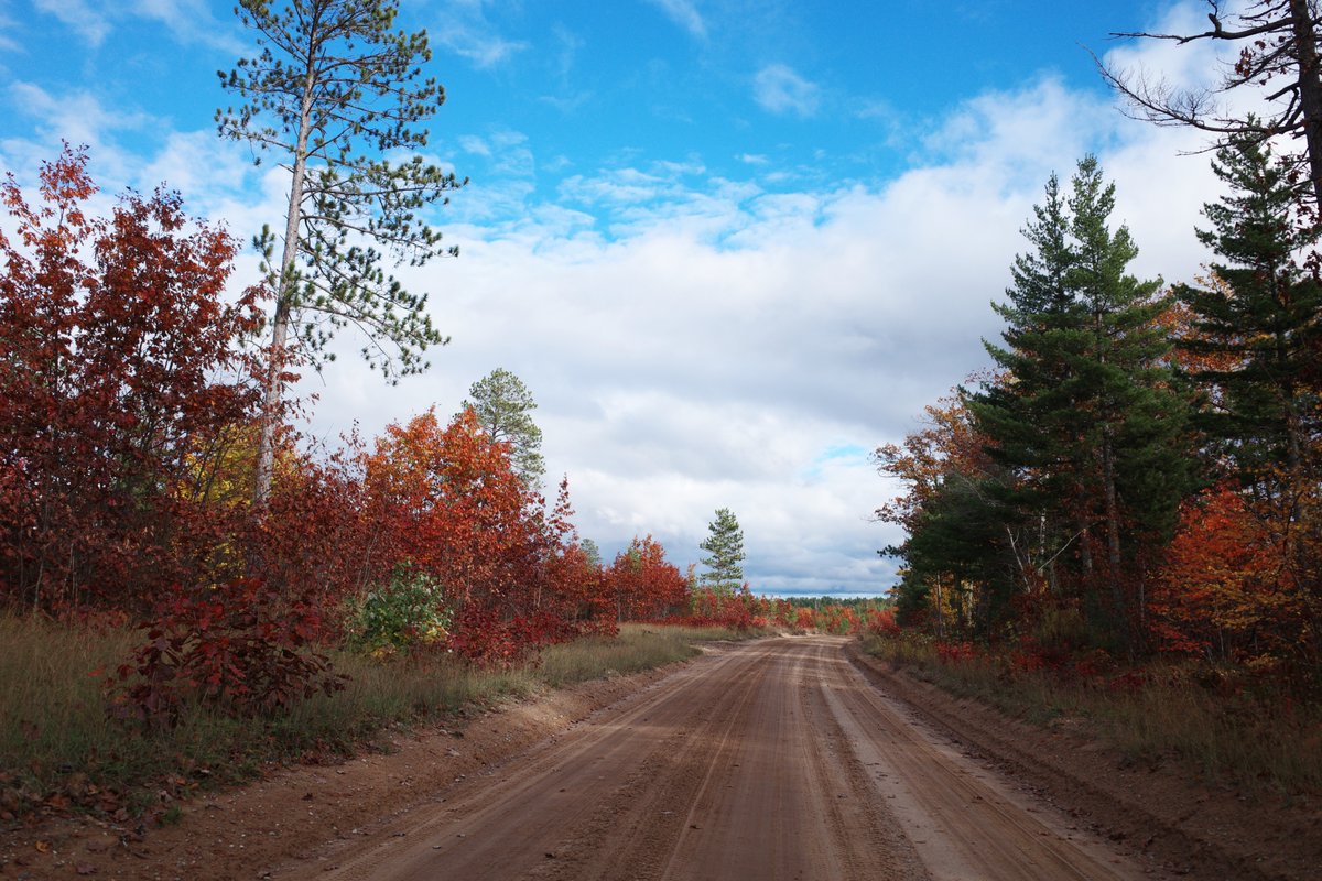 O.W. Root tweet media