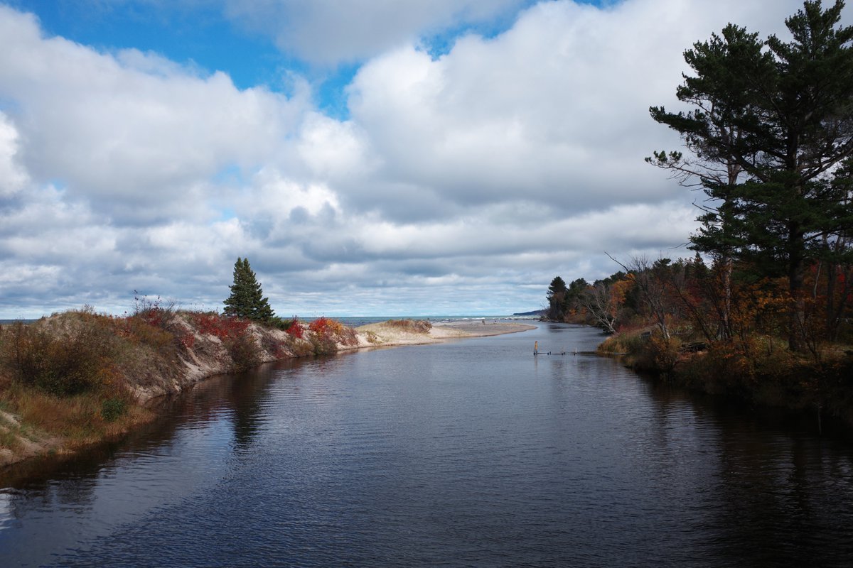 O.W. Root tweet media