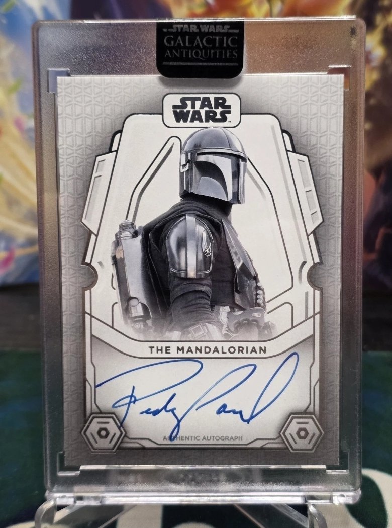 𝕁𝕒𝕪 𝔹𝕠𝕓 & 𝕊𝕠𝕟𝕤 tweet media