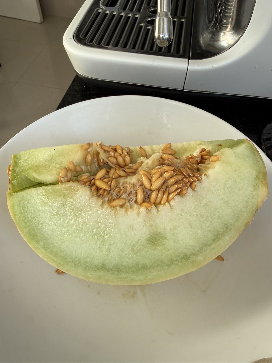 Quiero agradecerle al melón por haber puesto todas las semillas juntas. 
No como hizo la sandía…