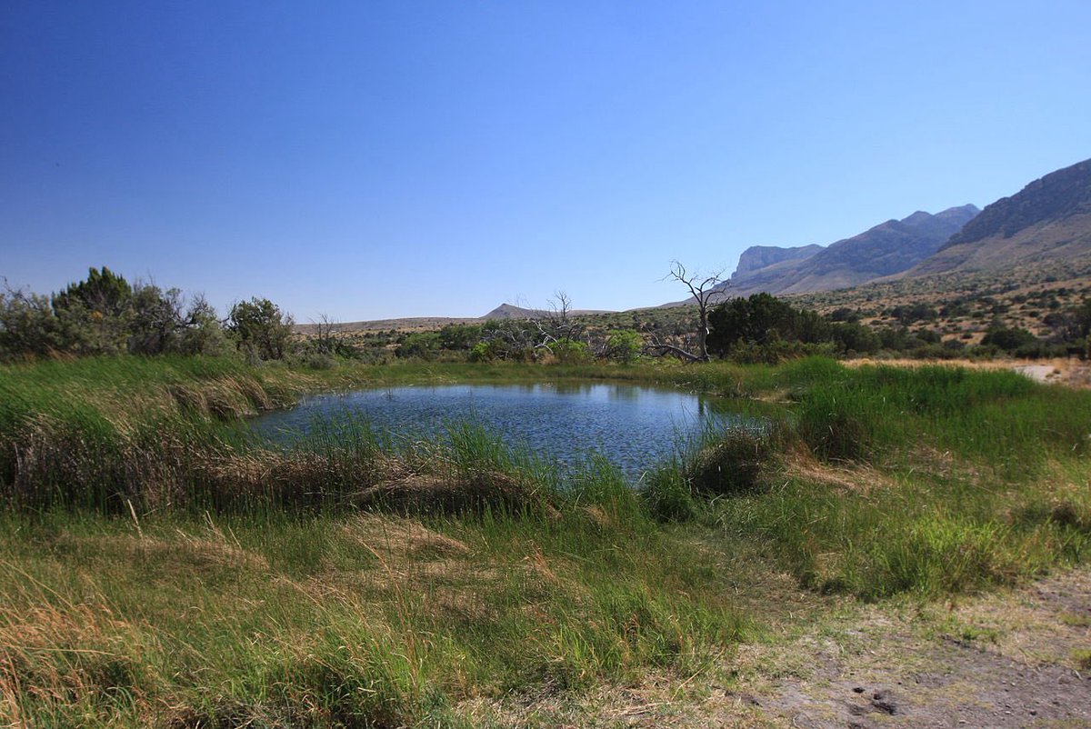 MythoSolaria🏜️ tweet media