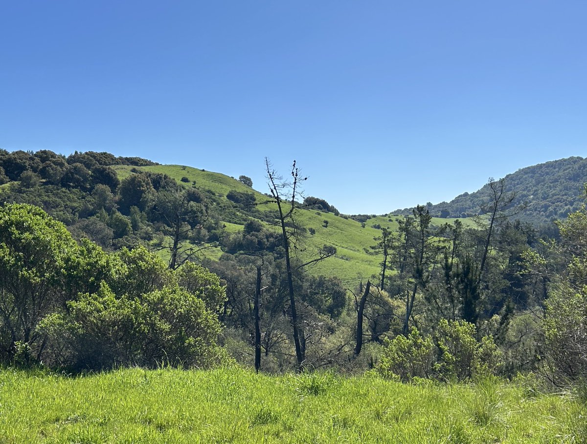Along the walking path today.