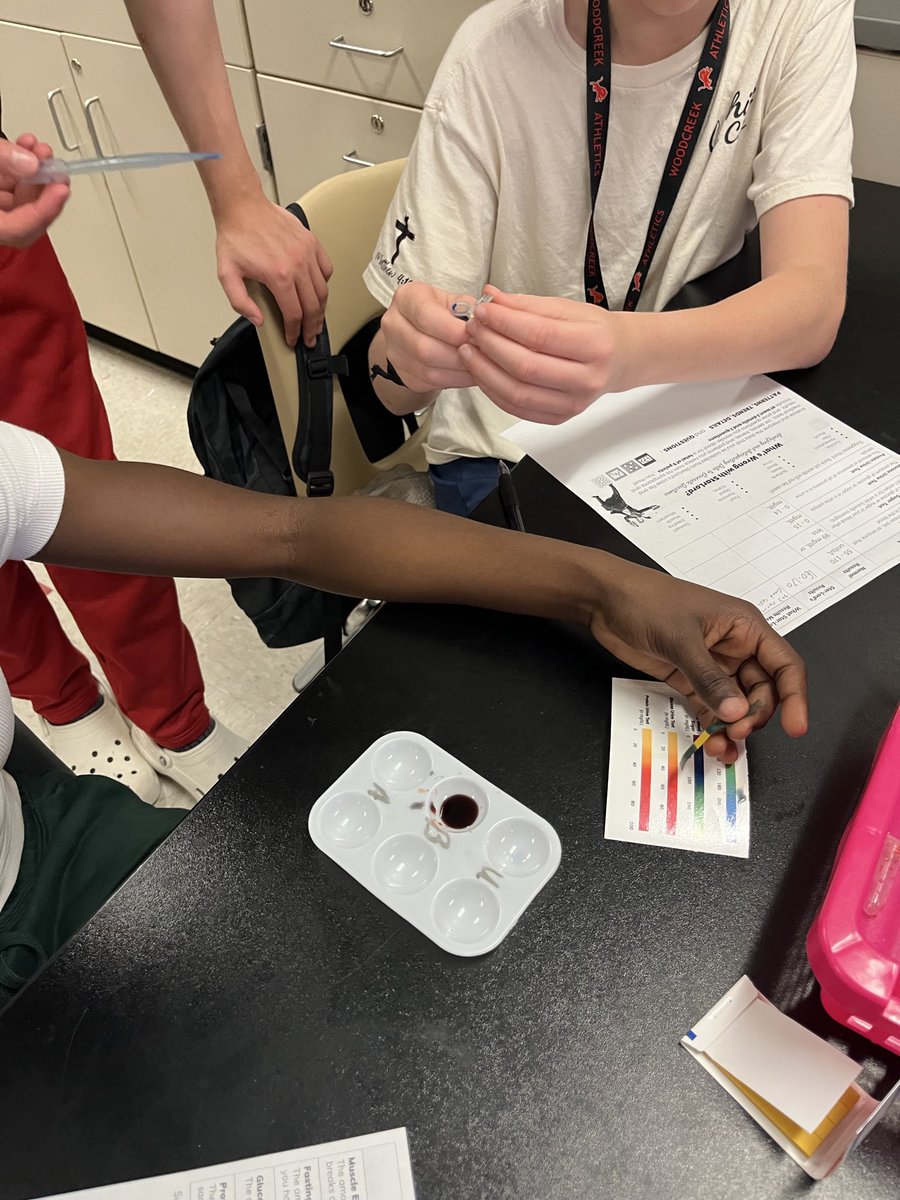 James O'Keeffe tweet media