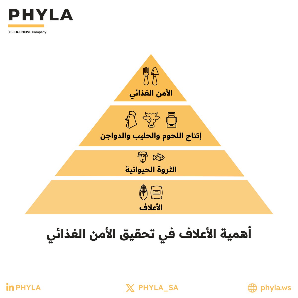 PHYLA tweet media