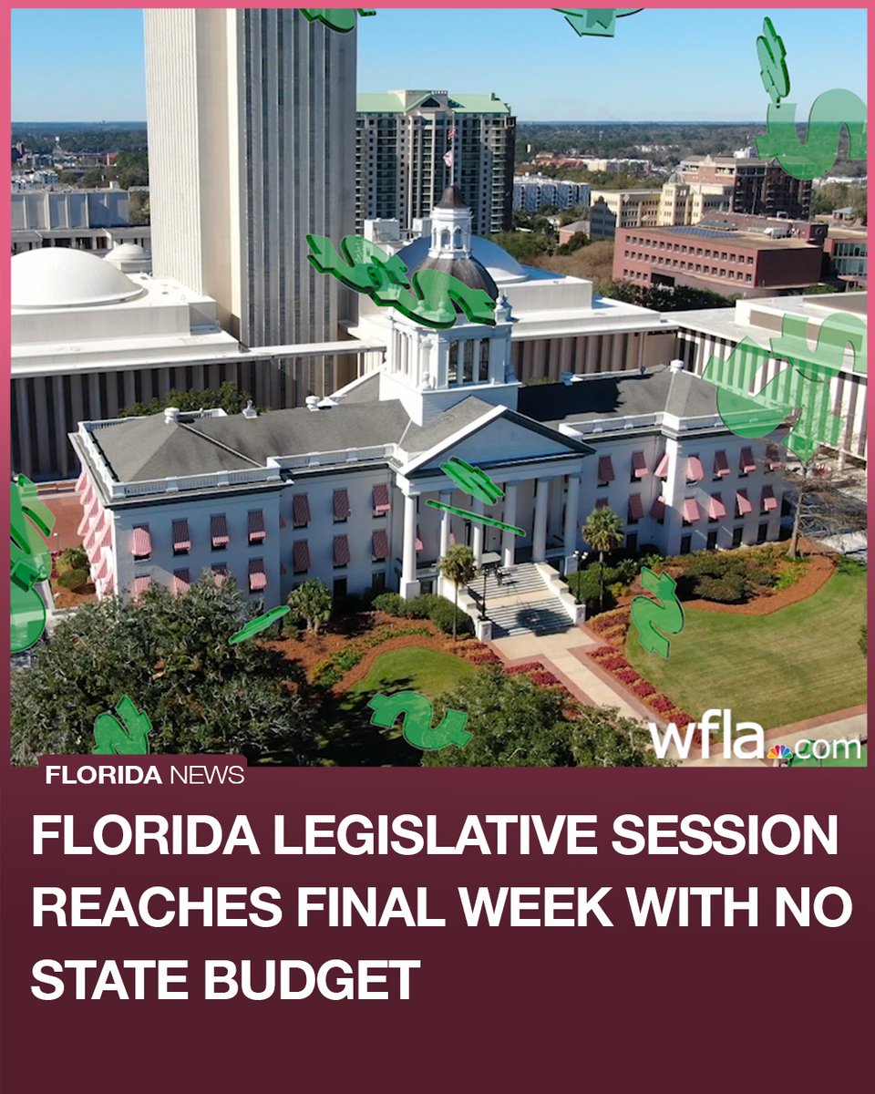 WFLA NEWS tweet media