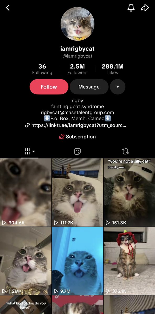 monnopolyy's tweet photo. Can someone please tell me how the fuck the most viral cat on tiktok which has millions of followers and views is sitting at 33k market cap?

H4kzQgCg24JyDNBVEgQy3VZXUorBuXkwQuW5bx4ypump

This is the next Billion dollar cat I just cant prove it yet. $RIGBY https://t.co/OobKnfbm4e