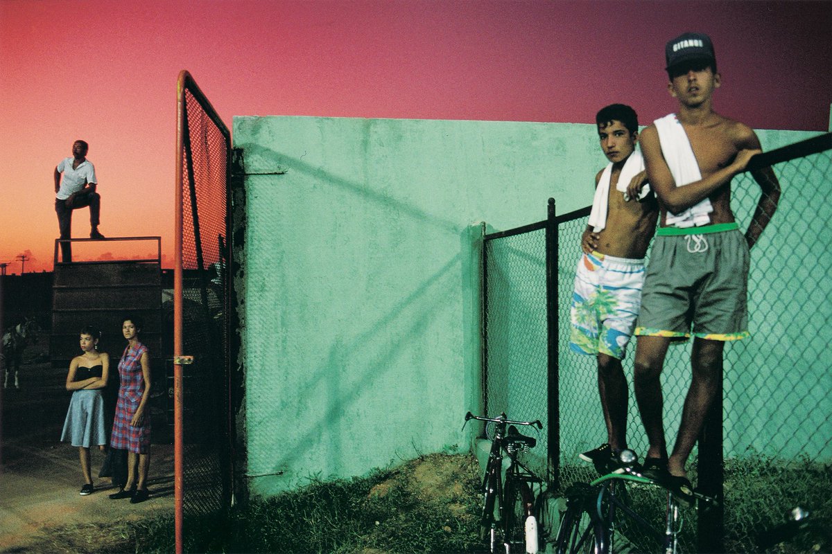 sonofmalick tweet media