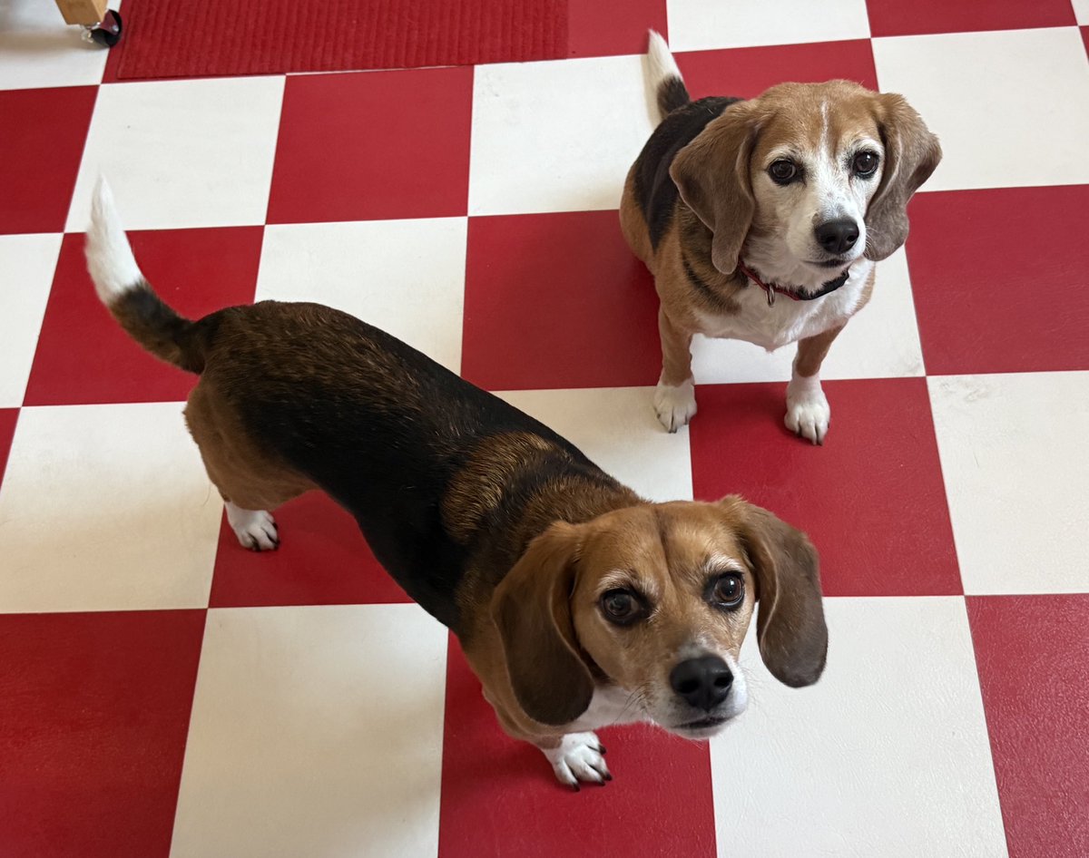 Liz Highleyman tweet media