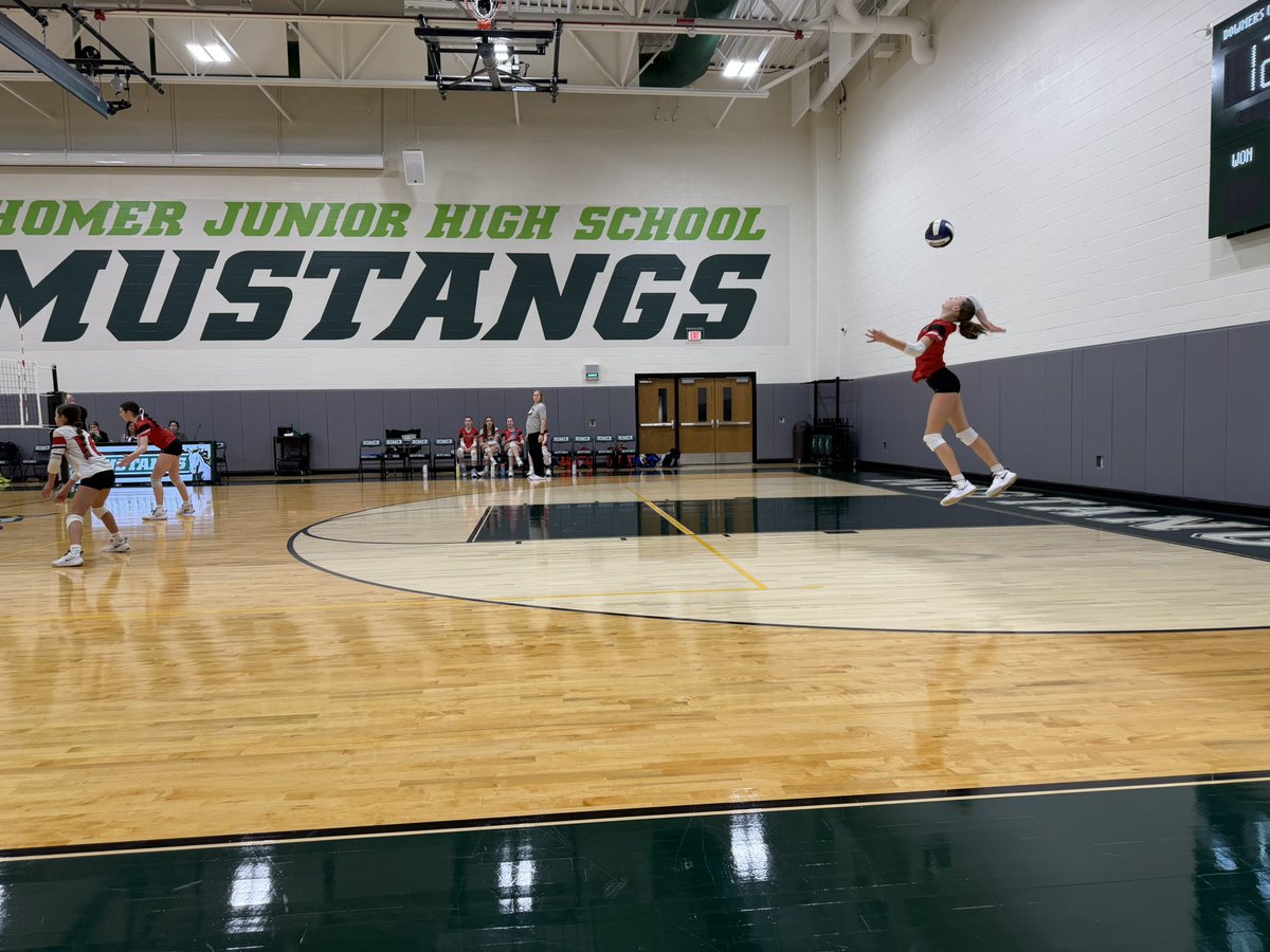 Lauren Lysy tweet media