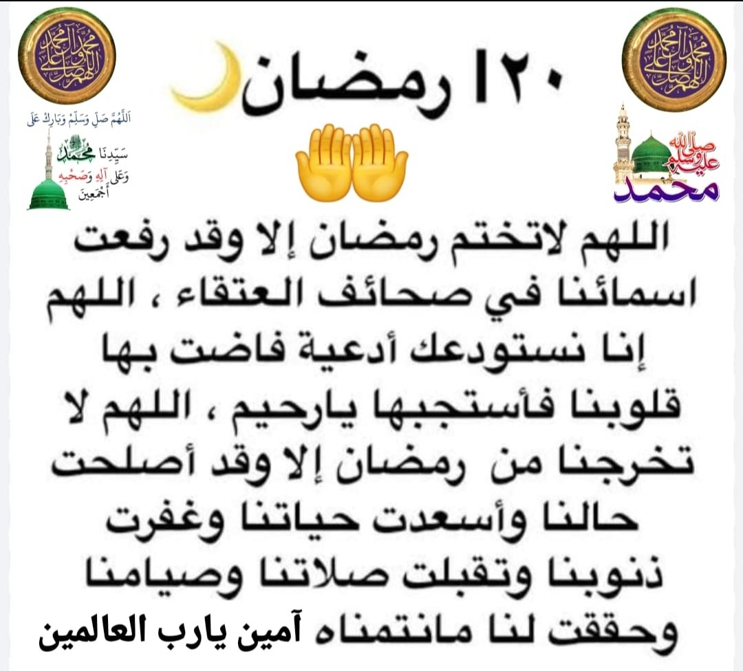 البروفيسور The Professor tweet media