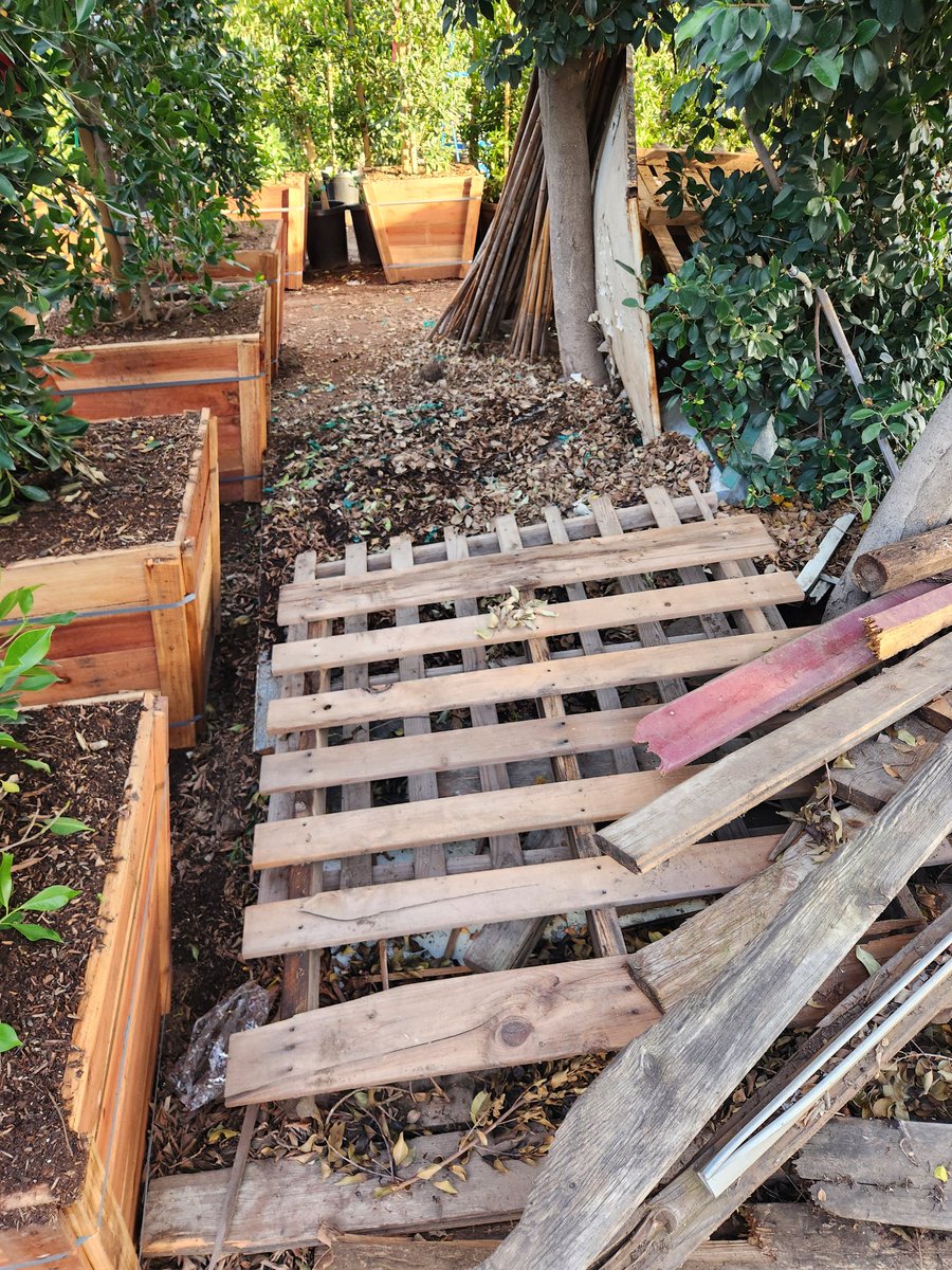 Coach Roy tweet media