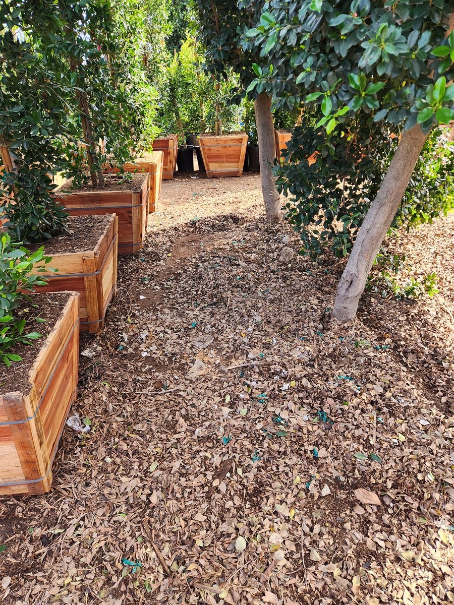 Coach Roy tweet media