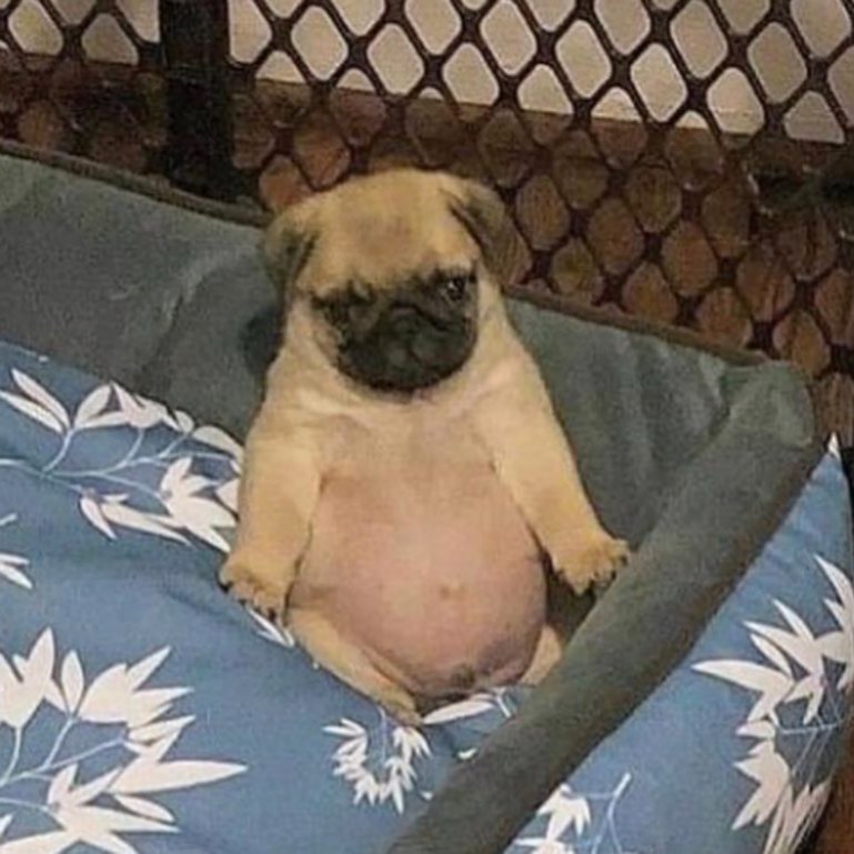 EL_VENUDO_49 tweet media