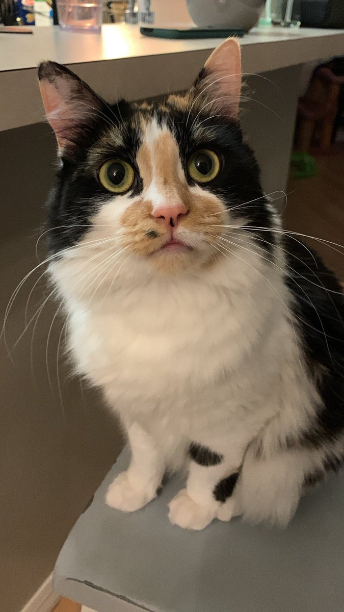 jen 🌱 tweet media