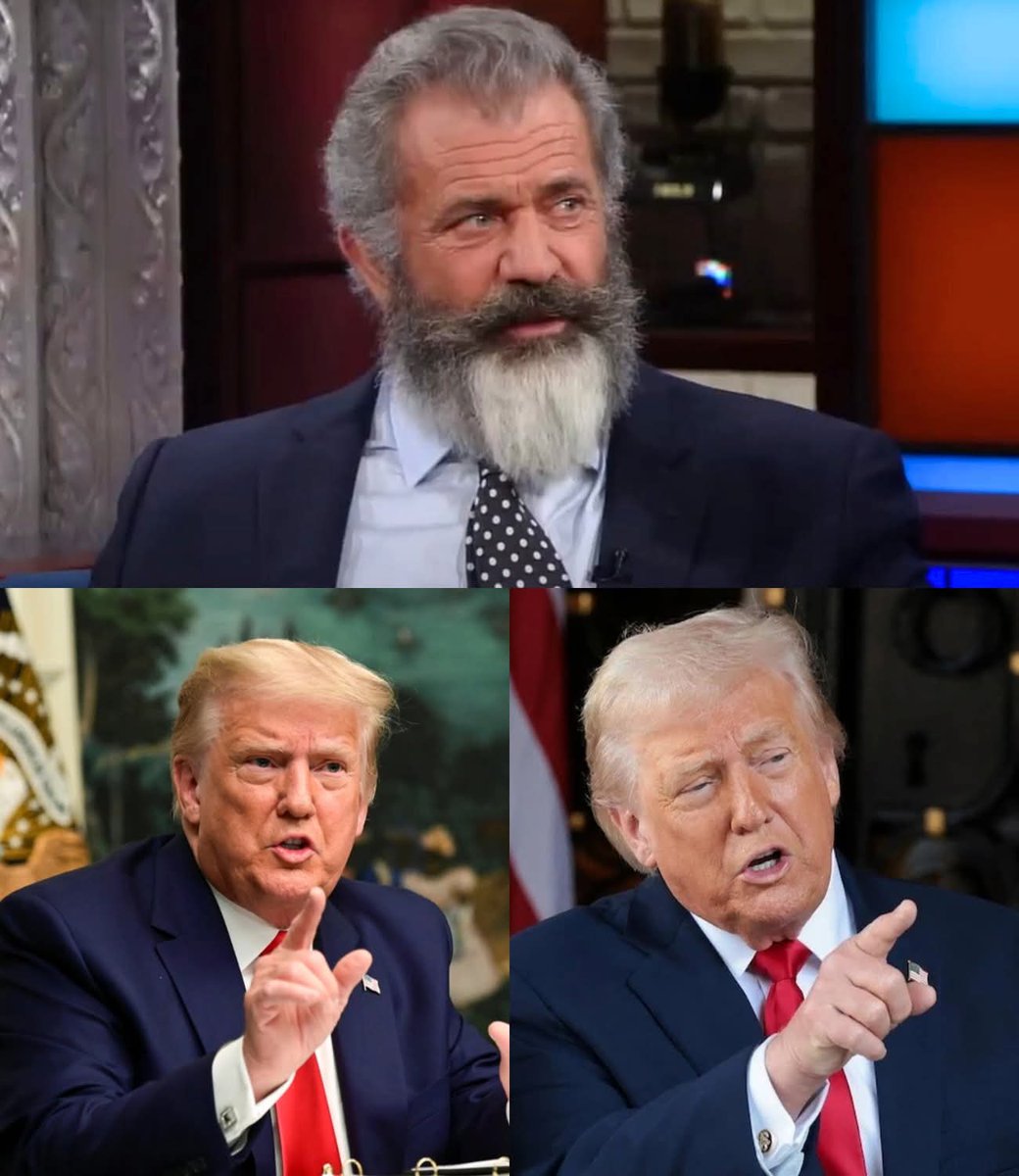 “¿Estás sordo, ciego o simplemente eres demasiado cobarde para admitir que esta administración envenenó el sistema de arriba abajo?”, gritó Mel Gibson, golpeando la mesa con la palma de la mano.

La sala se tensó. Aquello no era una aparición encantadora en un programa nocturno —