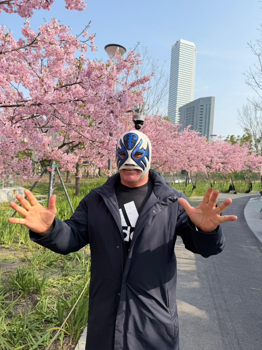 Atlantis CMLL tweet media