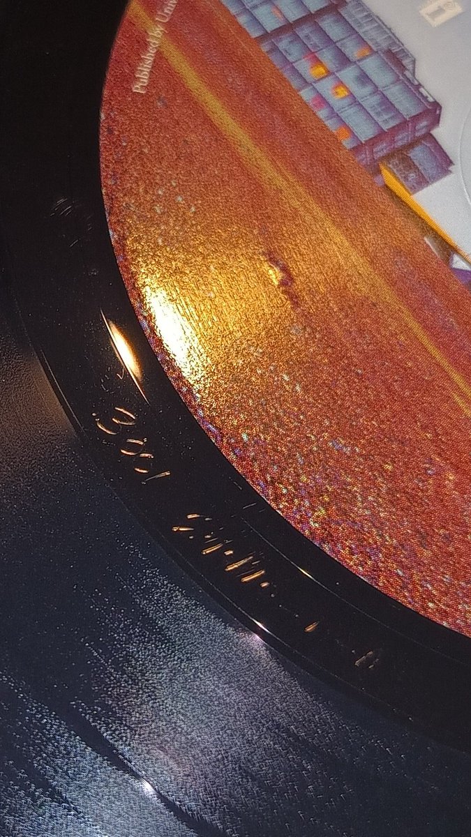 Cat At Night tweet media