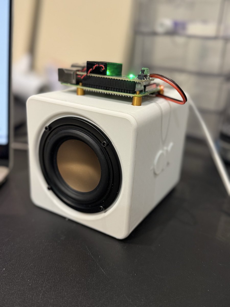 Shannon Wu tweet media