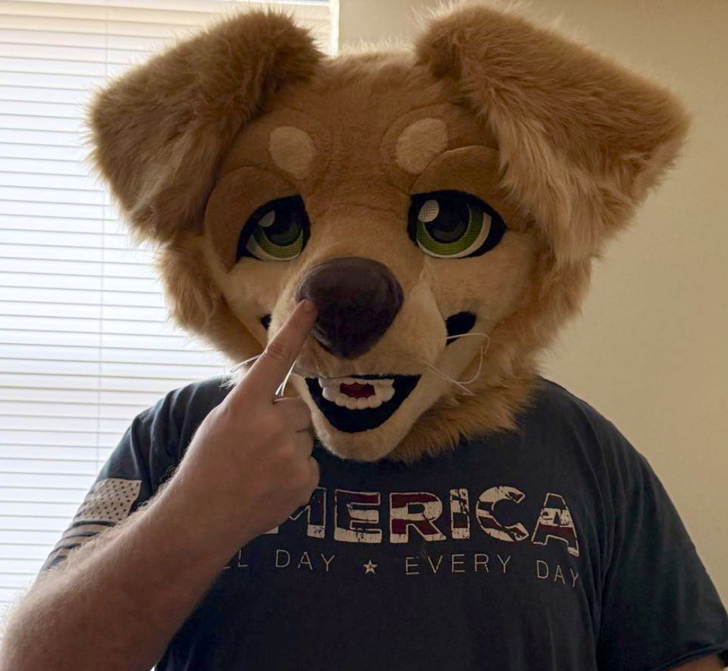 Sample The Dog 🔜 AC tweet media