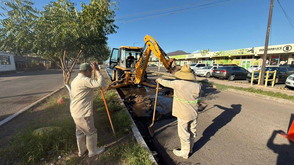 CEA Sonora tweet media