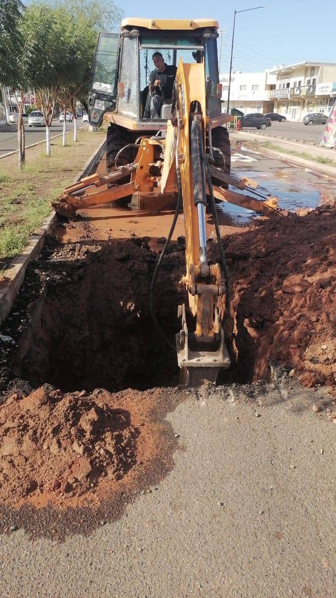 CEA Sonora tweet media