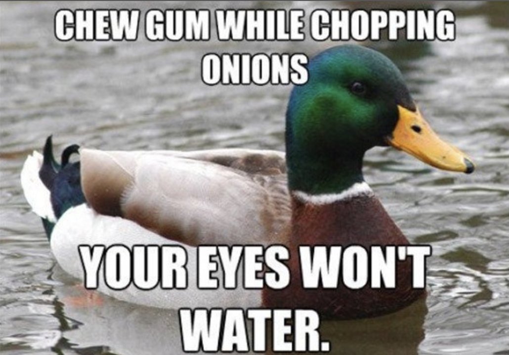 Mason Hawk Writer tweet media