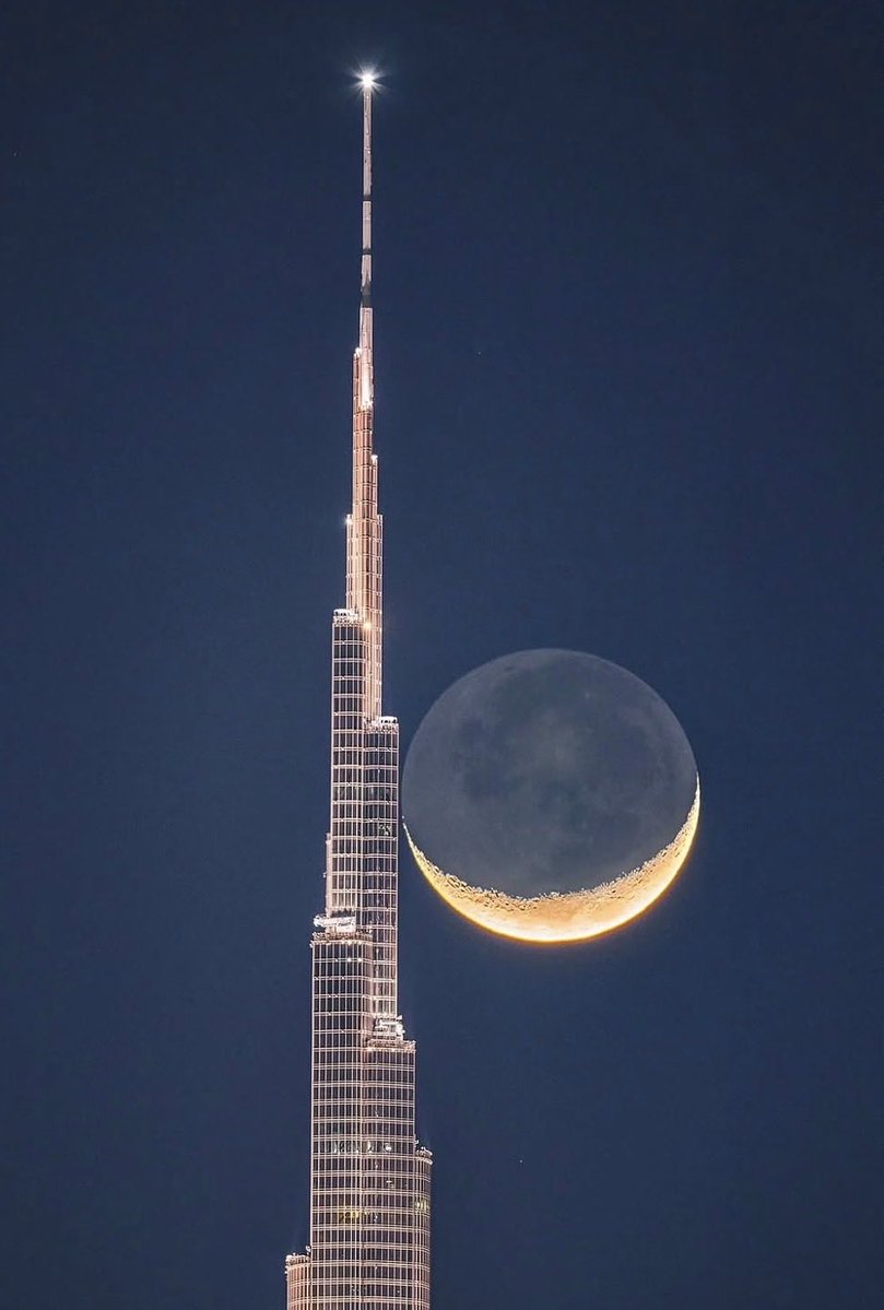 سلطان الوشاحي tweet media