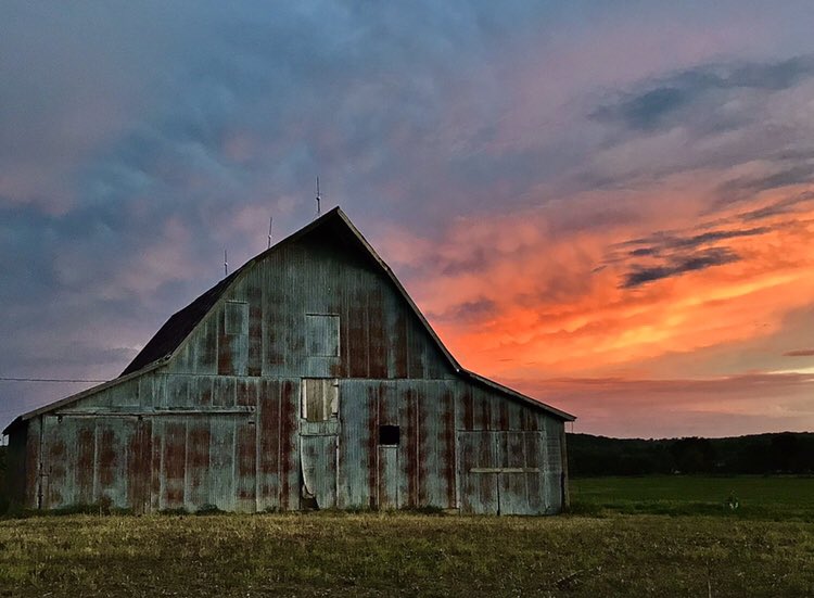 Jill Ervin tweet media