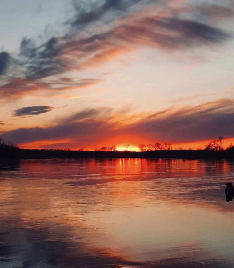 Jill Ervin tweet media