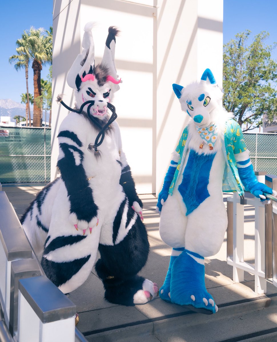 Amber “Red” Staley tweet media